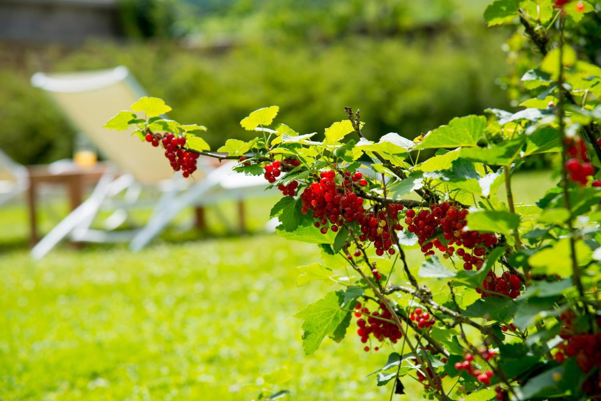 Le Logis D'Aze Bed & Breakfast Exterior foto